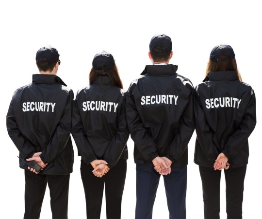 What is Income Tax Return